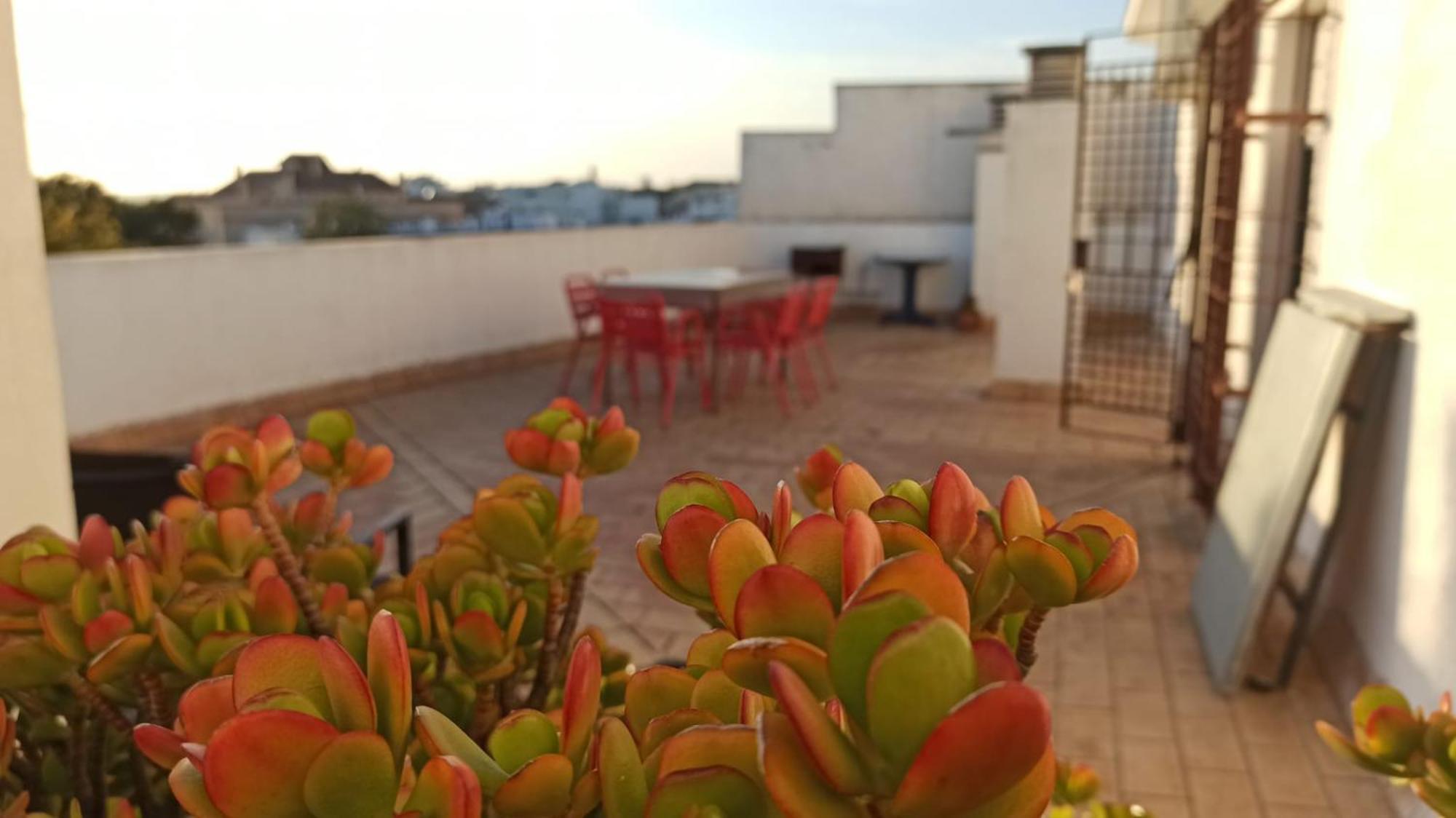 Atardeceres Surenos - Gran Terraza - Parking Херес-де-ла-Фронтера Экстерьер фото